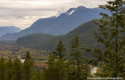 Cheakamus River Valley
