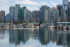 Stanley Park Reflections Stanley Park Reflections