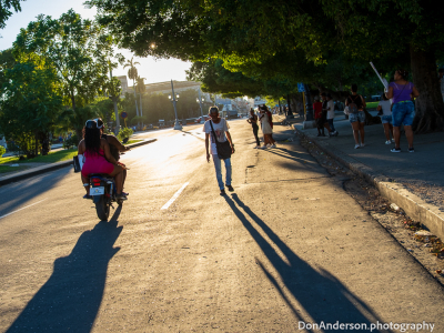 Long Shadows