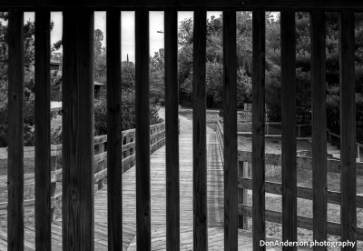 Downs Park, MD
