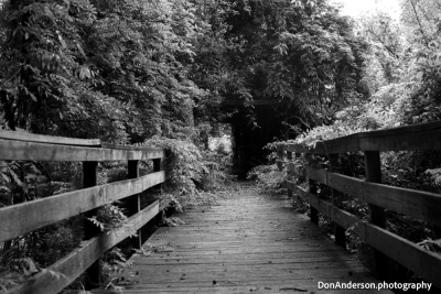 Downs Park, MD