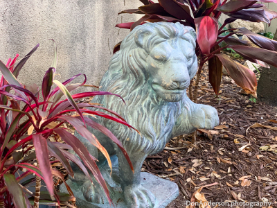 Sentinel of the Garden