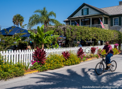 Coastal Charm in Bloom