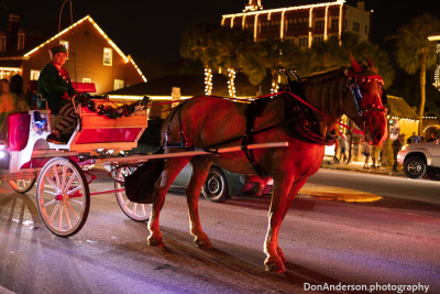 Holiday Tradition in Motion